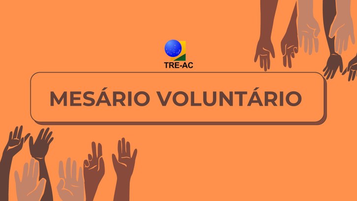 Contribua com a maior festa democrática do Brasil

