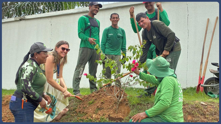 Ipês, jacarandás e outras espécies passam a integrar o espaço institucional