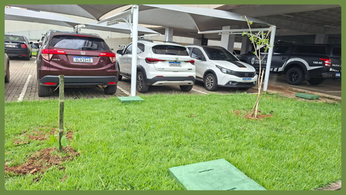 Iniciativa fortalece compromisso ambiental e contribui para redução de impactos das atividades i...