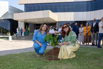 Projeto busca reduzir emissões de carbono e inspira ações de valorização da vida e do meio ambiente