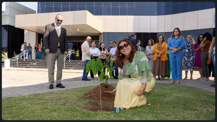 TRE-AC lança Projeto de Arborização em alusão ao Dia da Árvore Projeto busca reduzir emissões de carbono e inspira ações de valorização da vida e do meio ambiente