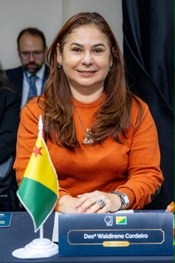 Encontro reuniu presidentes dos Tribunais Regionais Eleitorais de todo o país para consolidar es...