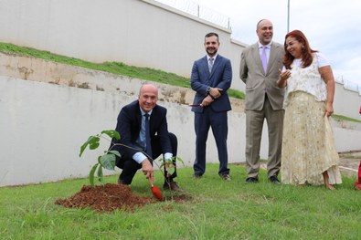 Ação reforça compromisso da Justiça Eleitoral com sustentabilidade e compensação de carbono