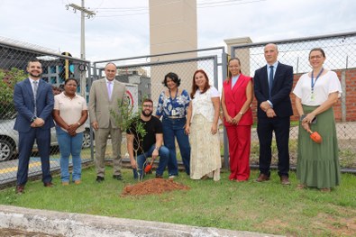 Ação reforça compromisso da Justiça Eleitoral com sustentabilidade e compensação de carbono