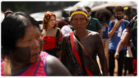 Em dois anos, número de eleitores autodeclarados aumentou 68%. Candidaturas e indígenas eleitos ...